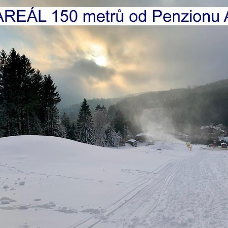 Penzion Alfa Zelezna Ruda Bagian luar foto