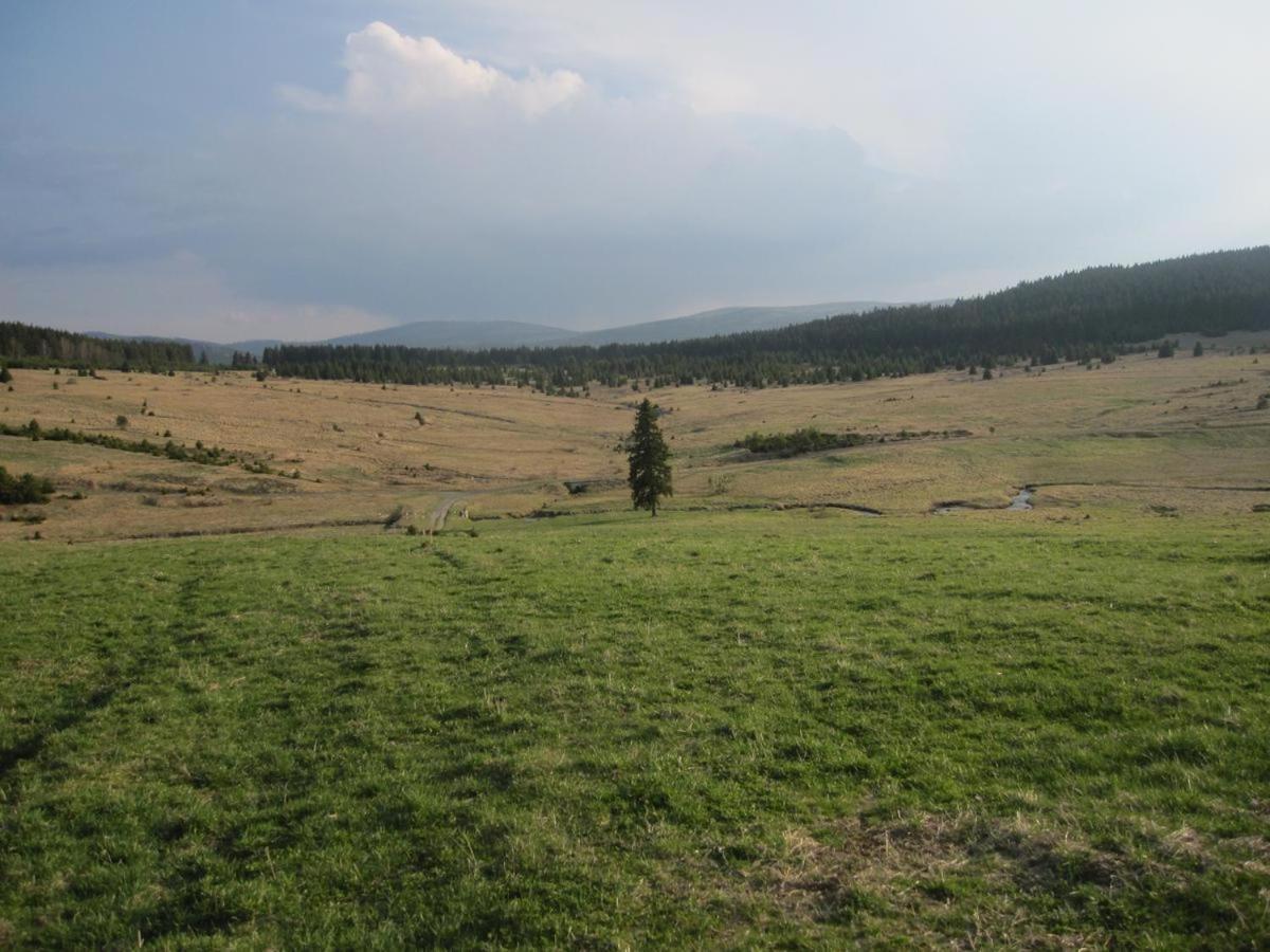 Penzion Alfa Zelezna Ruda Bagian luar foto