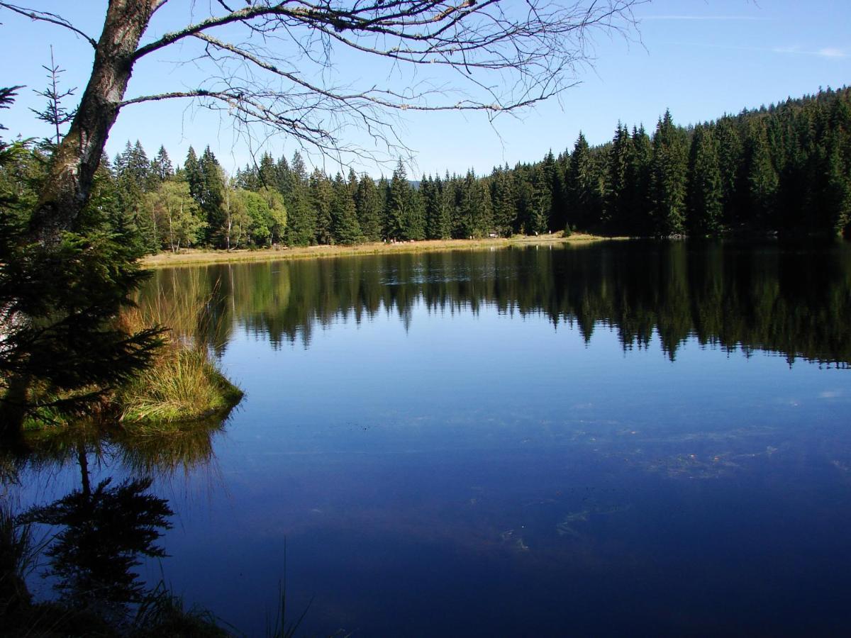 Penzion Alfa Zelezna Ruda Bagian luar foto