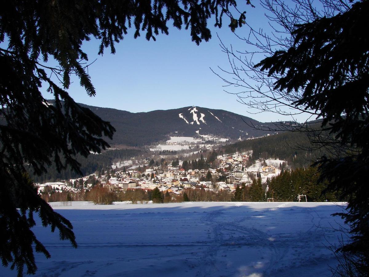 Penzion Alfa Zelezna Ruda Bagian luar foto