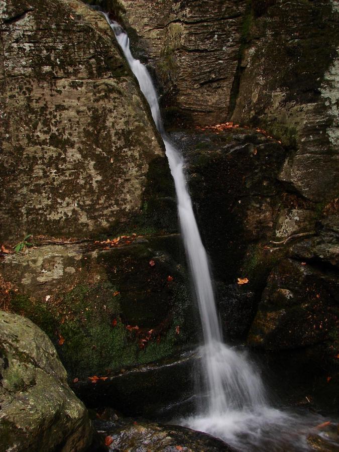 Penzion Alfa Zelezna Ruda Bagian luar foto