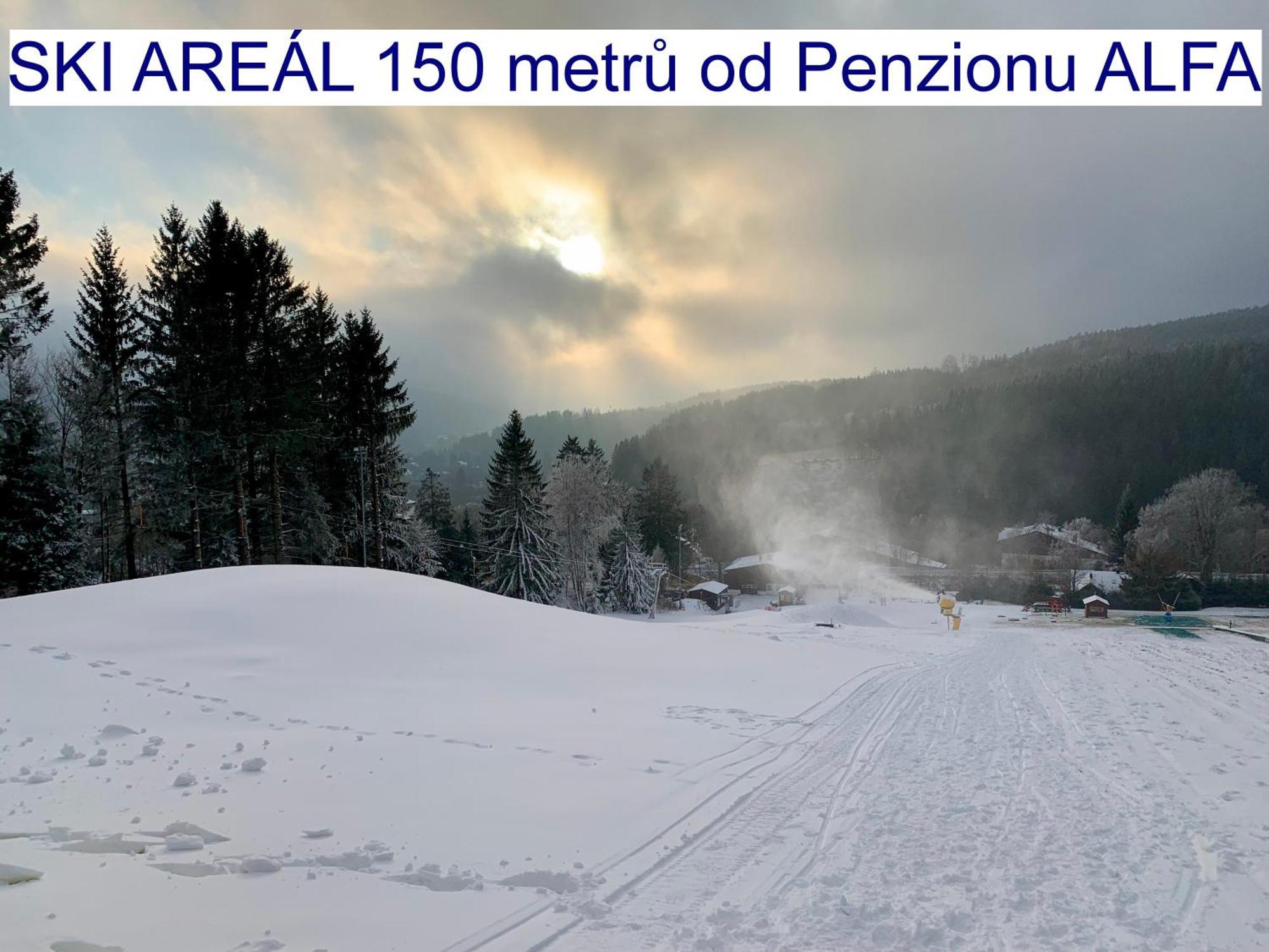Penzion Alfa Zelezna Ruda Bagian luar foto